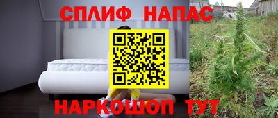 дмт Будённовск