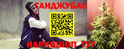 дмт Будённовск