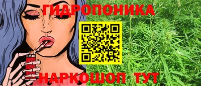 дмт Будённовск